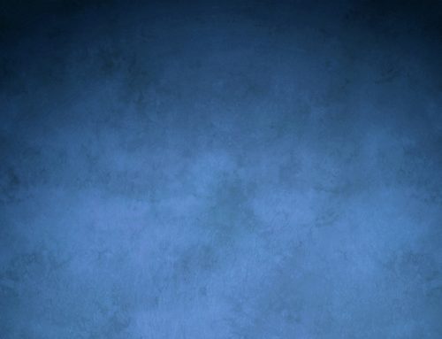 Curabitur quis mi at