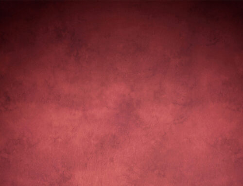 Quisque sed dictum eros